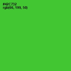 #42C732 - Bright Green Color Image
