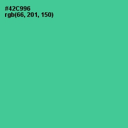 #42C996 - De York Color Image
