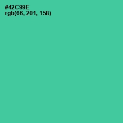 #42C99E - De York Color Image