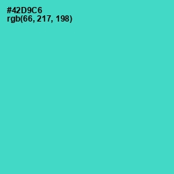 #42D9C6 - Viking Color Image