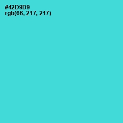 #42D9D9 - Viking Color Image