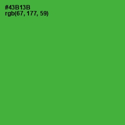 #43B13B - Apple Color Image