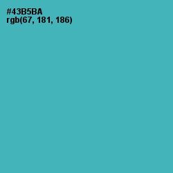 #43B5BA - Fountain Blue Color Image