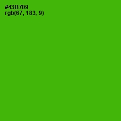 #43B709 - Christi Color Image