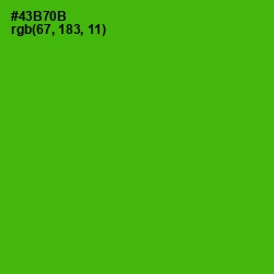 #43B70B - Christi Color Image