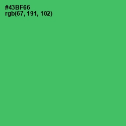 #43BF66 - Chateau Green Color Image