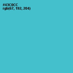 #43C0CC - Viking Color Image