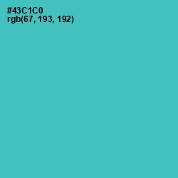 #43C1C0 - Viking Color Image