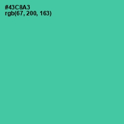 #43C8A3 - De York Color Image