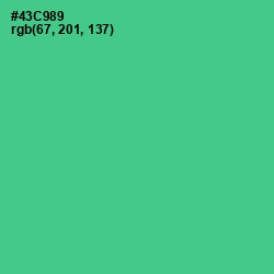 #43C989 - De York Color Image