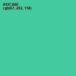#43CA9E - De York Color Image