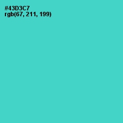 #43D3C7 - Viking Color Image