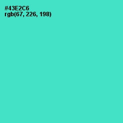 #43E2C6 - Viking Color Image