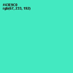 #43E9C0 - Downy Color Image