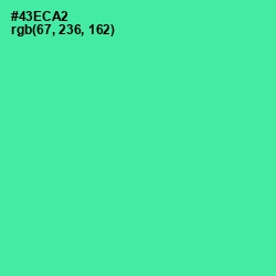 #43ECA2 - De York Color Image