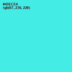 #43ECE4 - Turquoise Blue Color Image