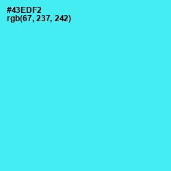 #43EDF2 - Turquoise Blue Color Image