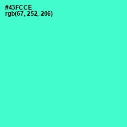 #43FCCE - Turquoise Blue Color Image