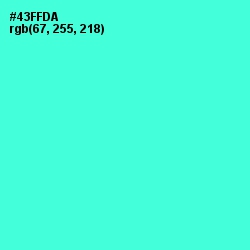 #43FFDA - Turquoise Blue Color Image