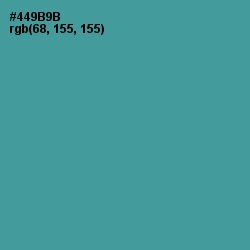 #449B9B - Smalt Blue Color Image