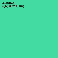 #44DBA2 - De York Color Image