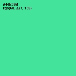 #44E39B - De York Color Image