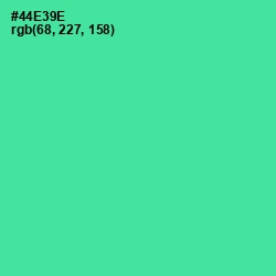 #44E39E - De York Color Image
