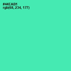 #44EAB1 - De York Color Image