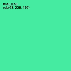 #44EBA0 - De York Color Image