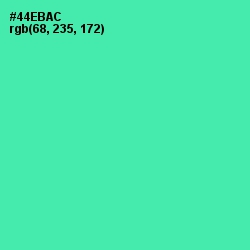 #44EBAC - De York Color Image