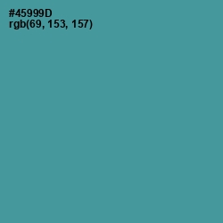 #45999D - Smalt Blue Color Image