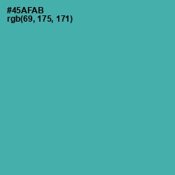 #45AFAB - Fountain Blue Color Image