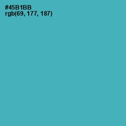 #45B1BB - Fountain Blue Color Image