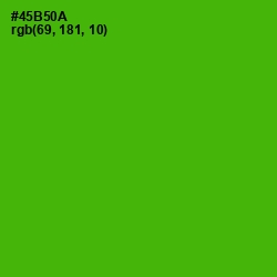 #45B50A - Christi Color Image