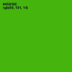 #45B50E - Christi Color Image