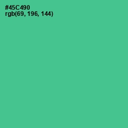 #45C490 - De York Color Image