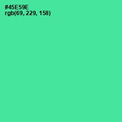 #45E59E - De York Color Image