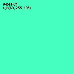 #45FFC1 - Aquamarine Color Image