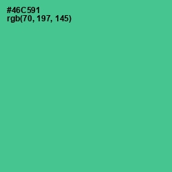 #46C591 - De York Color Image