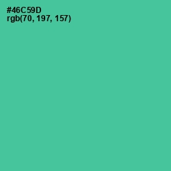 #46C59D - De York Color Image