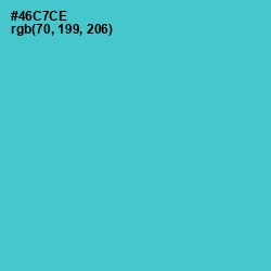 #46C7CE - Viking Color Image