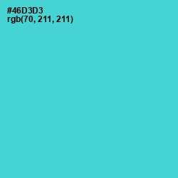 #46D3D3 - Viking Color Image