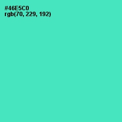 #46E5C0 - Downy Color Image