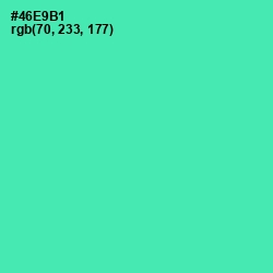 #46E9B1 - De York Color Image