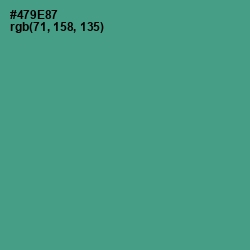 #479E87 - Smalt Blue Color Image
