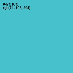 #47C1CC - Viking Color Image