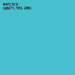 #47C1CE - Viking Color Image