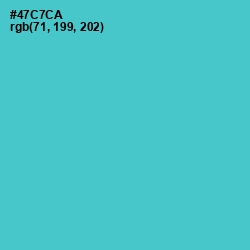 #47C7CA - Viking Color Image