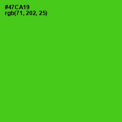 #47CA19 - Bright Green Color Image