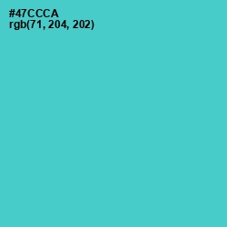 #47CCCA - Viking Color Image